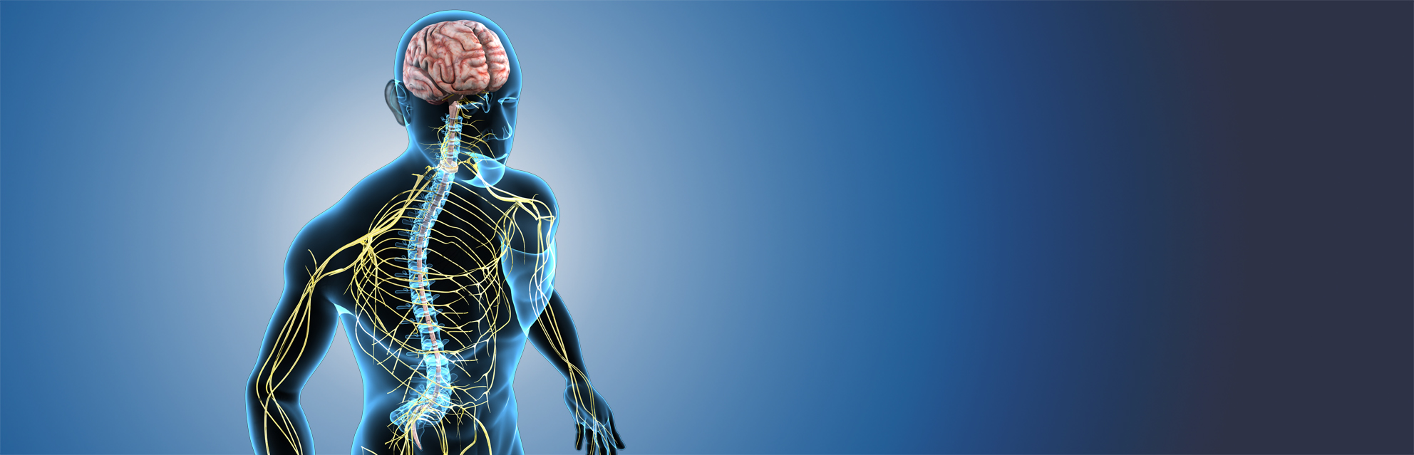 praxis dr kaltenmaier startseite